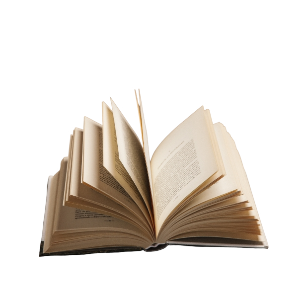 American Grant Writers Strategy Graphics